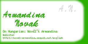 armandina novak business card